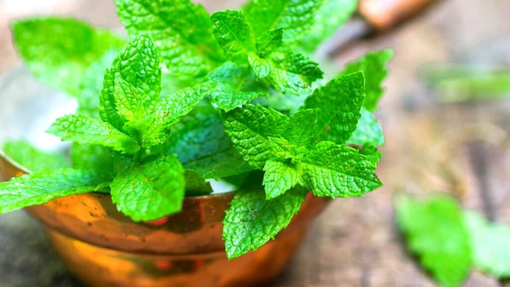10 Effective Home Remedies to Get Rid of Stomach Ache-Mint