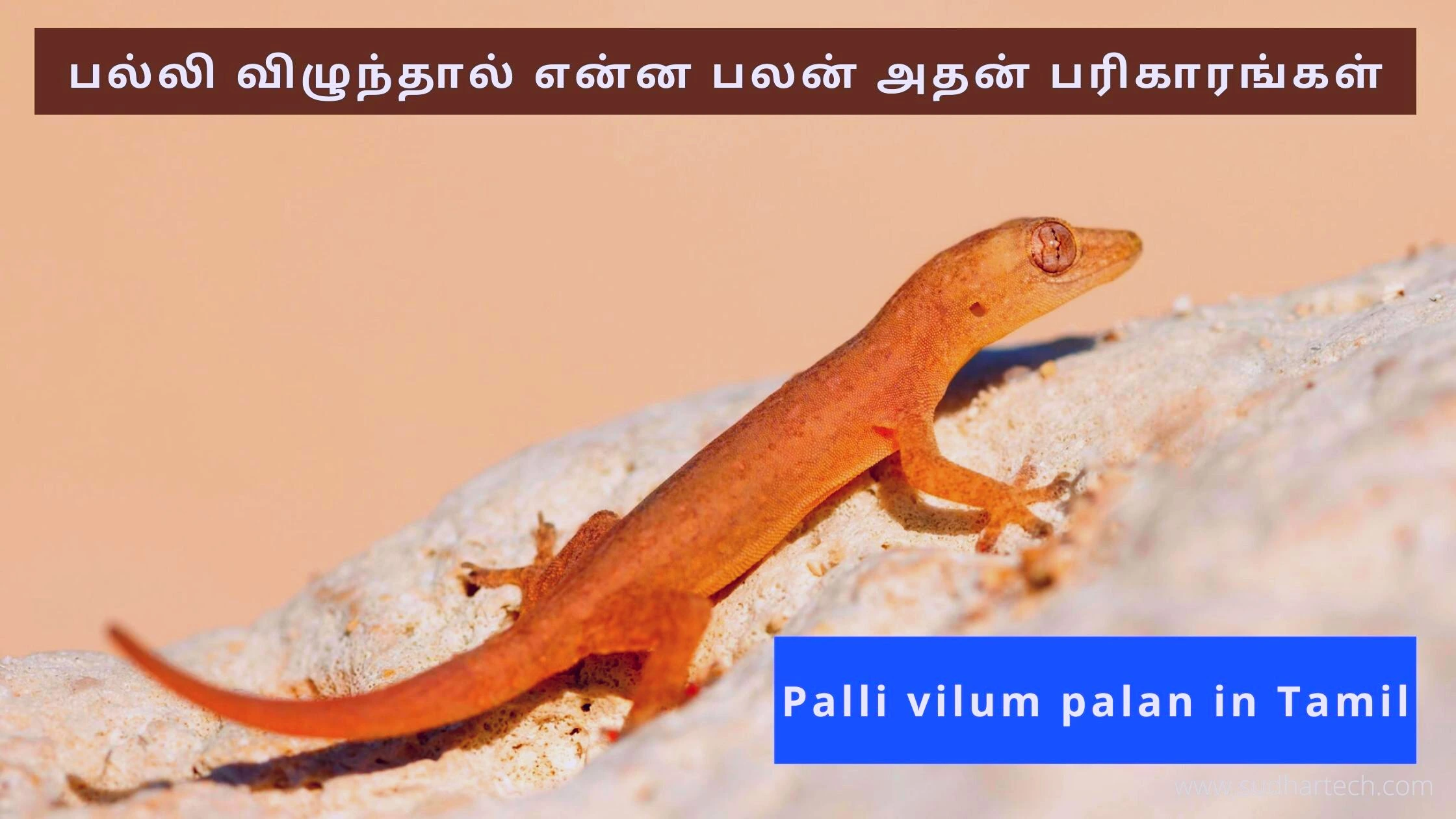 Palli vilum palan in Tamil