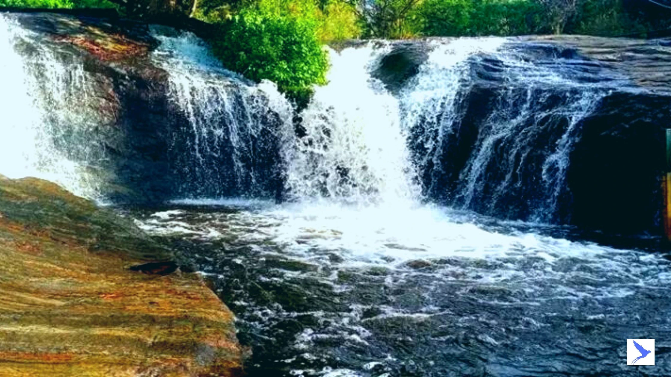 10 Best waterfalls in tamilnadu