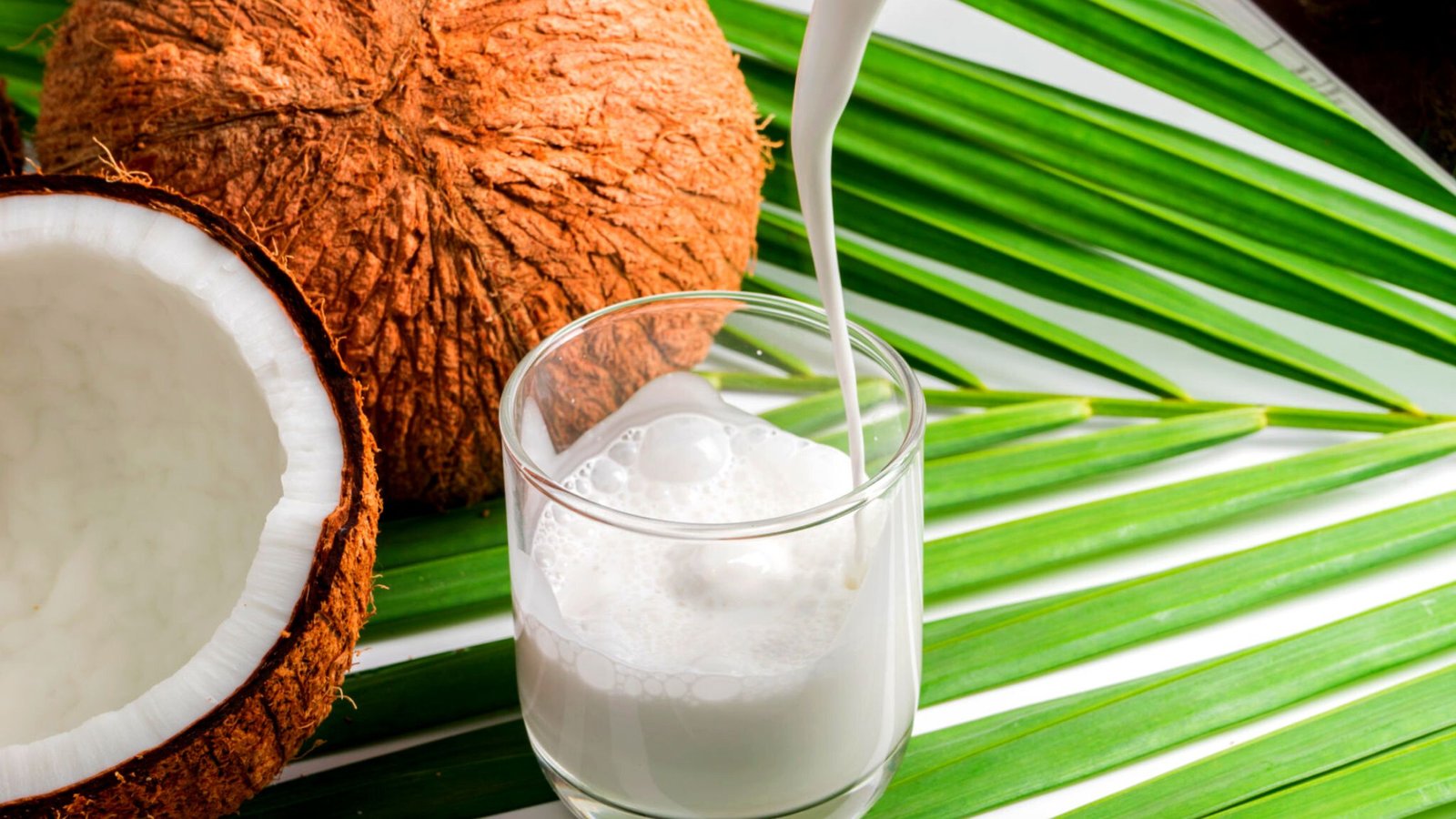 coconut milk benefits in tamil