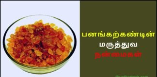 Panam kalkandu benefits in Tamil