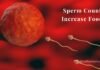 Sperm Count Increase Food Tamil